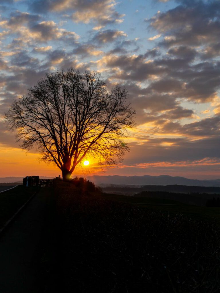 Sonnenaufgang - TW