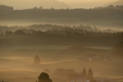 Allgäu TW LaFo 22_301