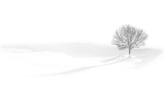 Still AP LaFo 21_296