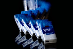 V-09-02-Tempo-Domino