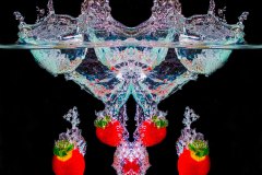 1019333.jpgWeb