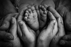 Familie AP LaFo 22