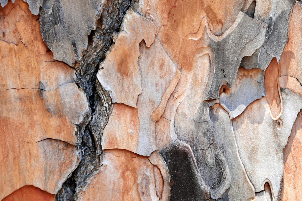 39 Holz