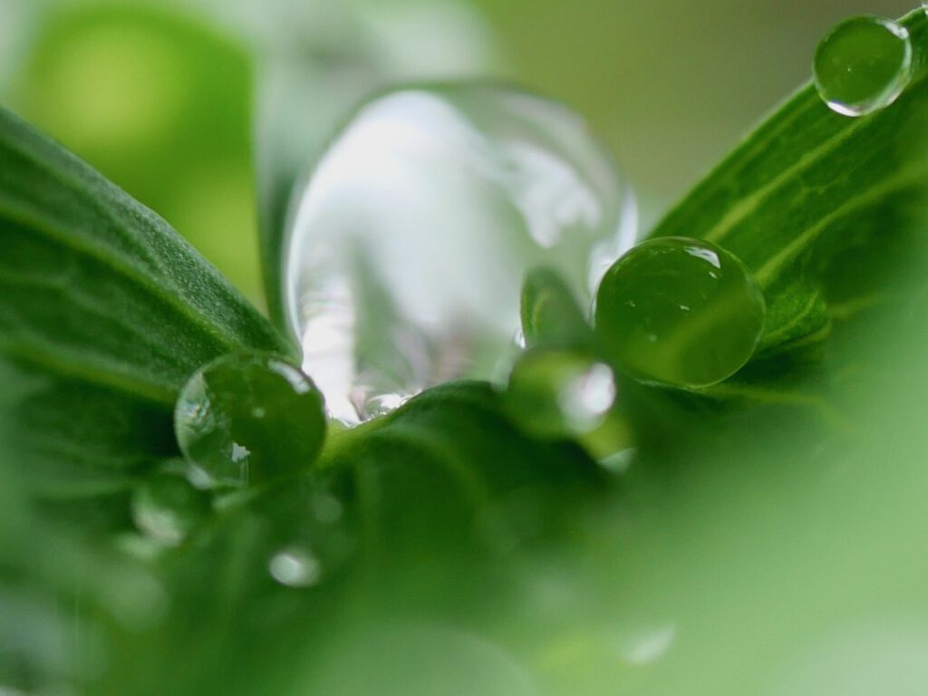 17 Nach dem Regen
