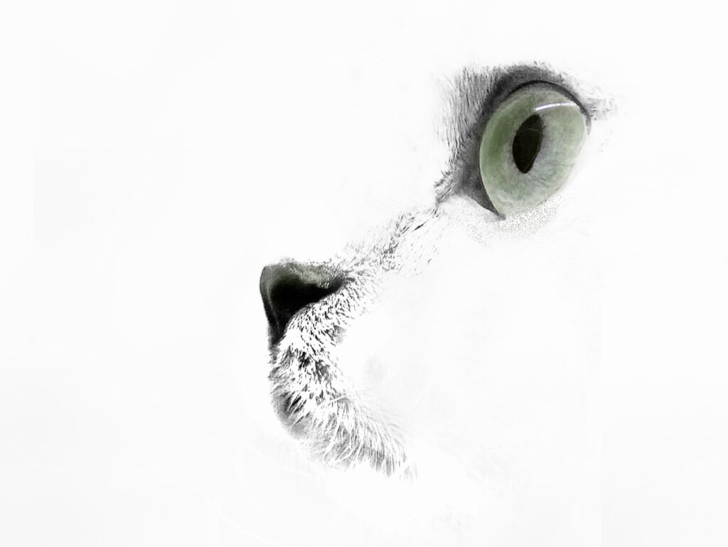 04 im Blick