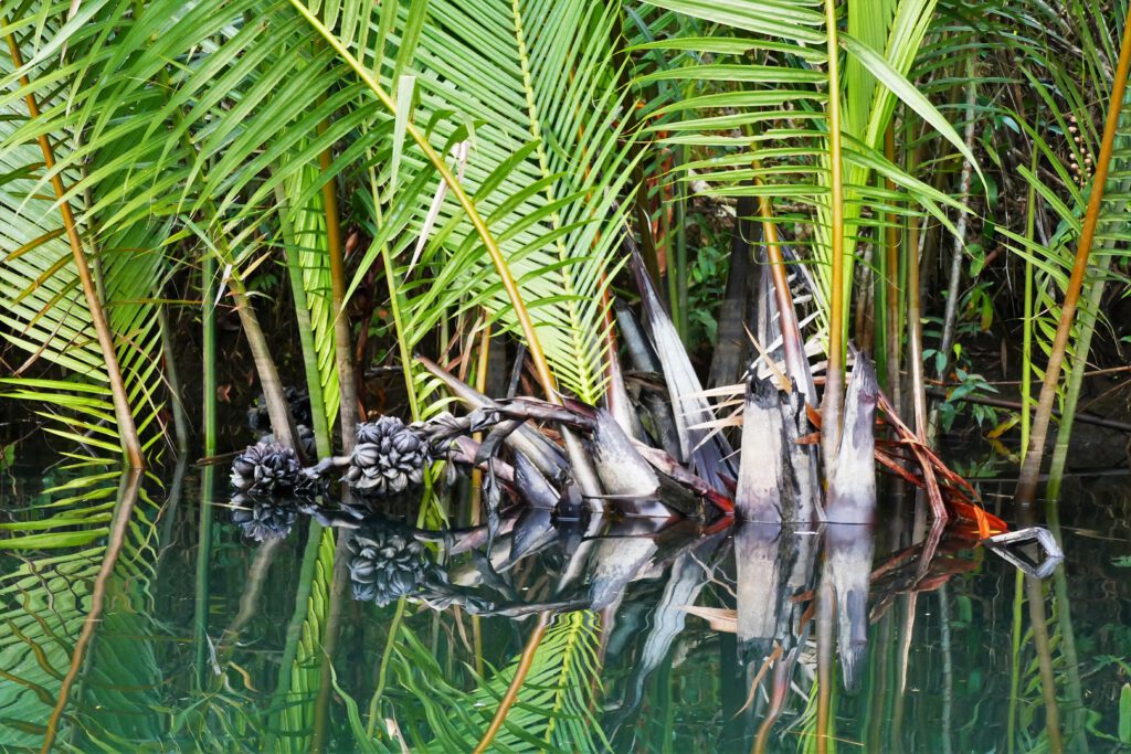 07 Spiegelwasser