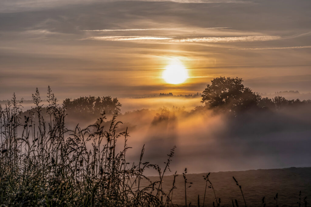 16 Morgen Nebel