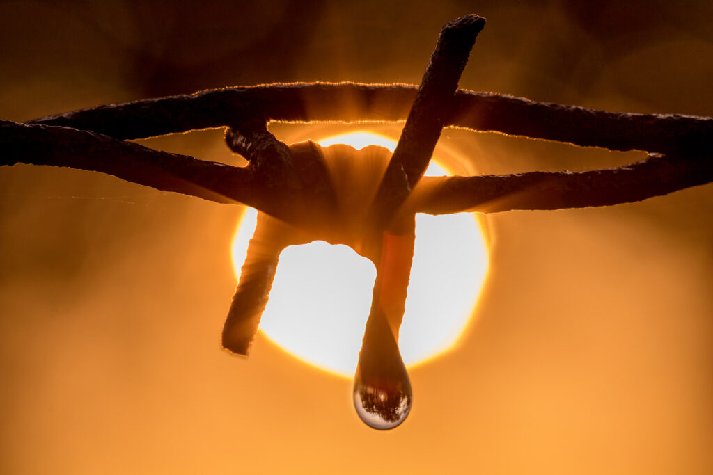 18 Sonnenaufgang Stacheldraht