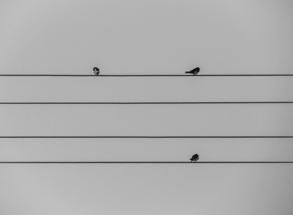 14 Unvollständig