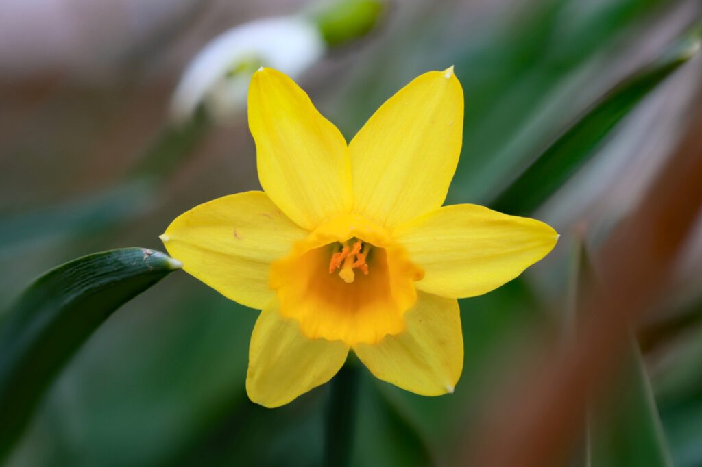 EB04_Endlich Frühling