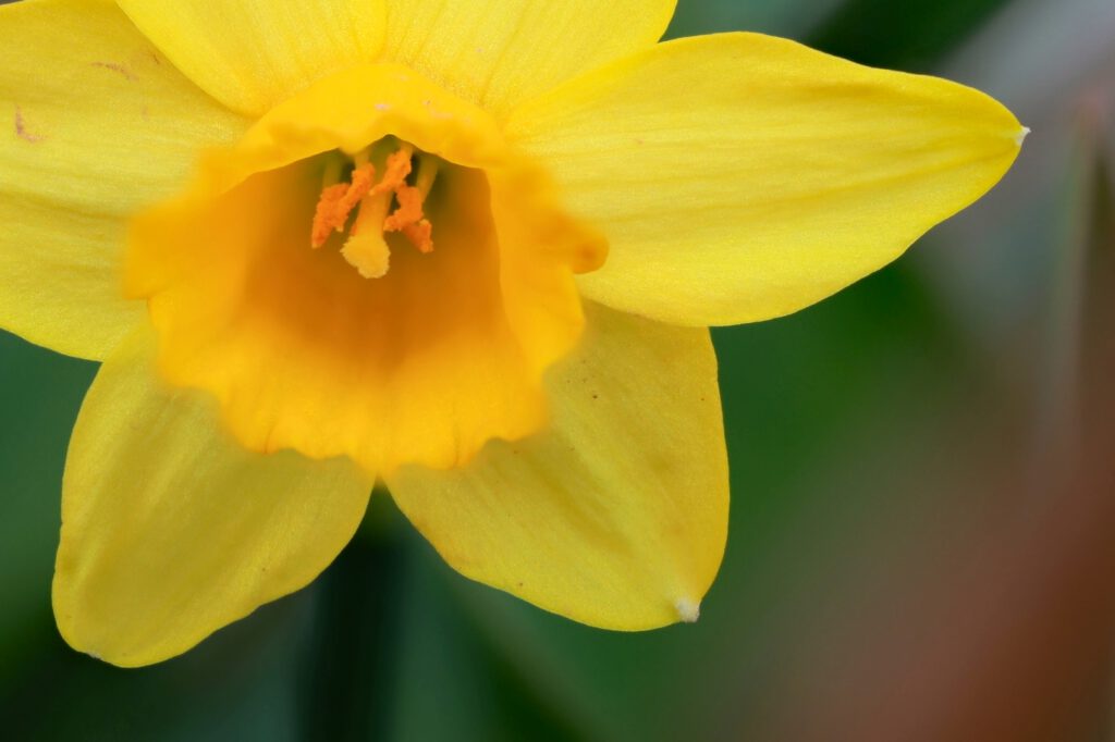 EB06_Endlich Frühling