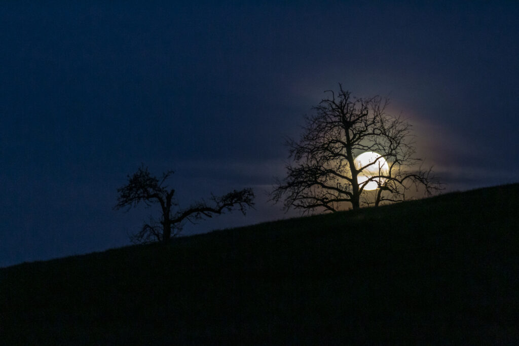 Frühjahrsmond - Ostermond