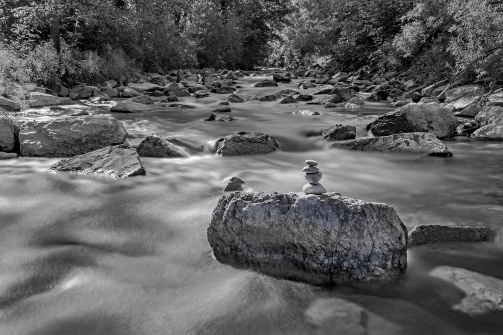 FW Im Fluss
