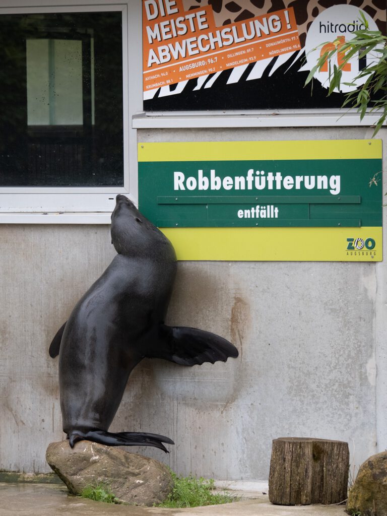 Die fetten Jahre sind vorbei