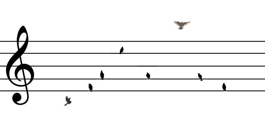 02 Alle Vögel sind schon da